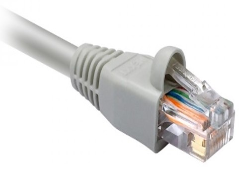 RJ-45 PATCH CORD NEXXT CAT6 1FT CM TYPE BLUE